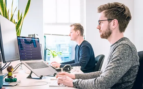 Ligula tristique quis risus