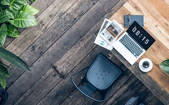 Ligula tristique quis risus