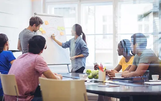 Ligula tristique quis risus